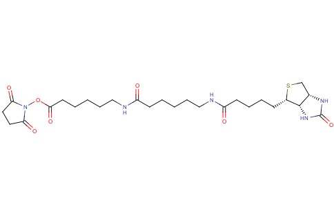 BIOTINAMIDOHEXANOYL-6-AMINOHEXANOIC ACID N-HYDROXYSUCCINIMIDE ESTER